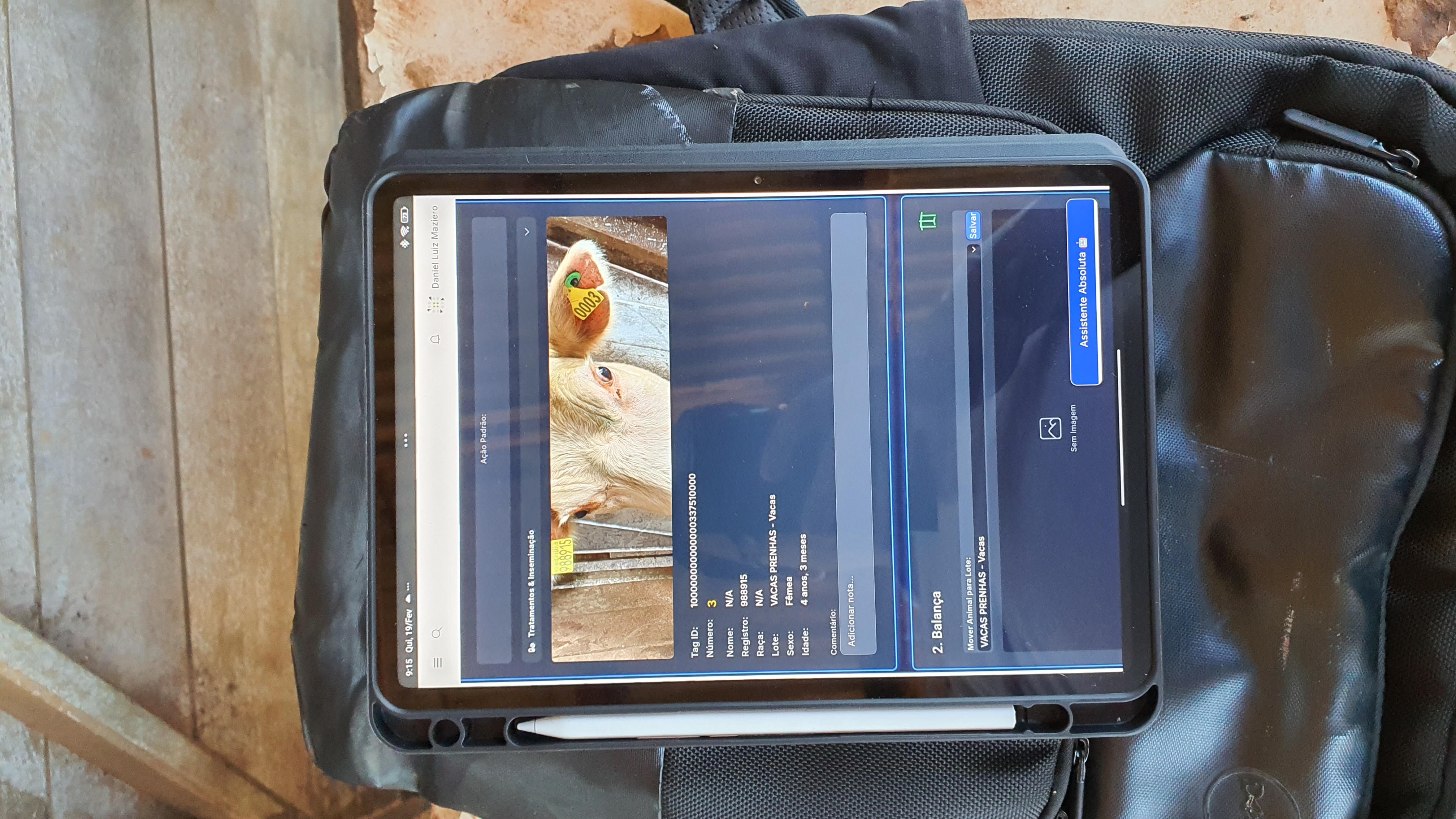 Tela do Software de Gestão Agropecuária